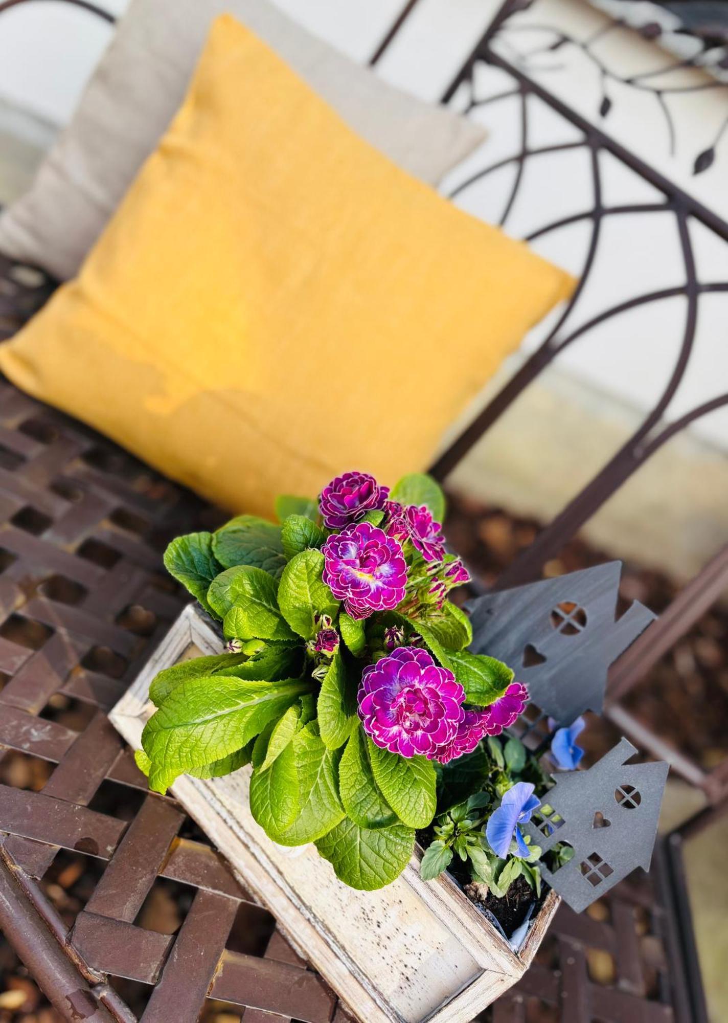 Ferienhaus Im Gruenen พริทซ์วอล์ค ภายนอก รูปภาพ